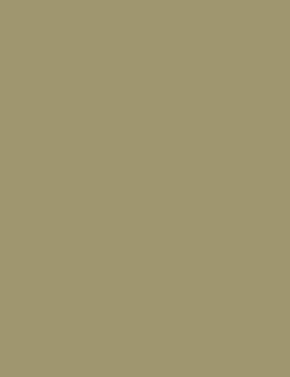 Petticoat